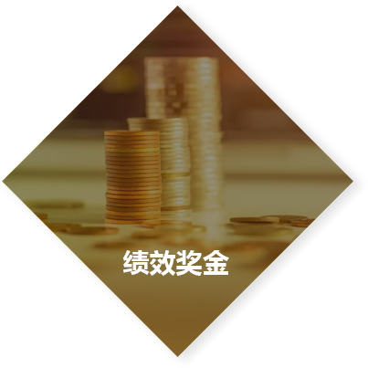 绩效奖金